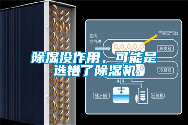 除濕沒作用，可能是選錯了除濕機
