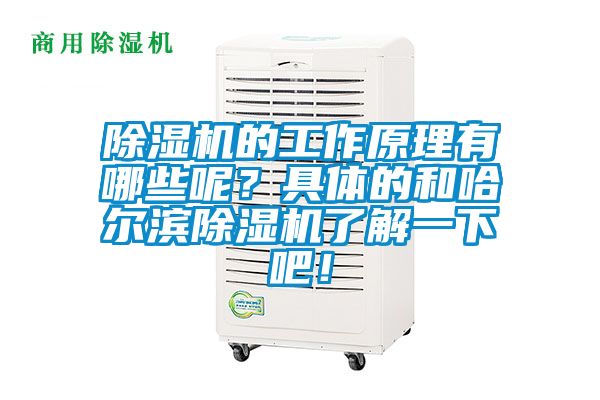 除濕機(jī)的工作原理有哪些呢？具體的和哈爾濱除濕機(jī)了解一下吧！