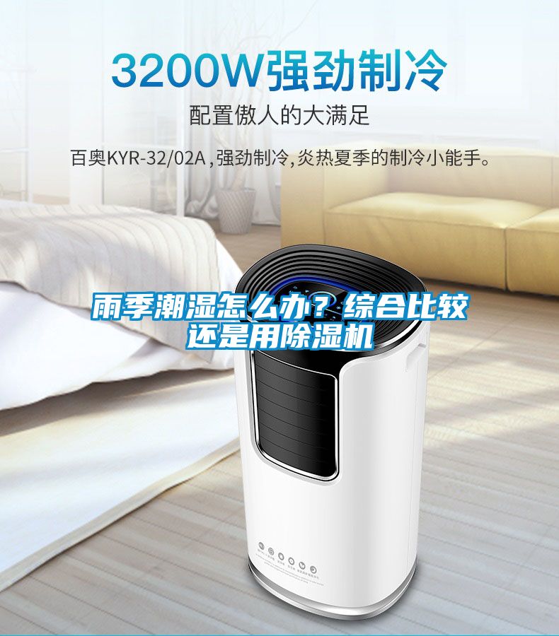雨季潮濕怎么辦？綜合比較還是用除濕機