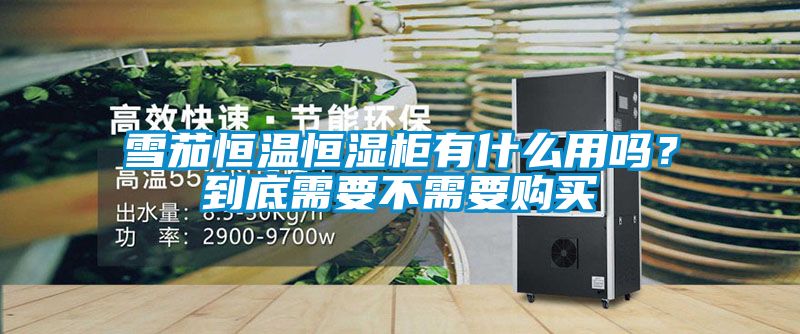 雪茄恒溫恒濕柜有什么用嗎？到底需要不需要購買