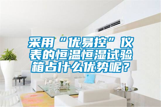采用“優(yōu)易控”儀表的恒溫恒濕試驗箱占什么優(yōu)勢呢？