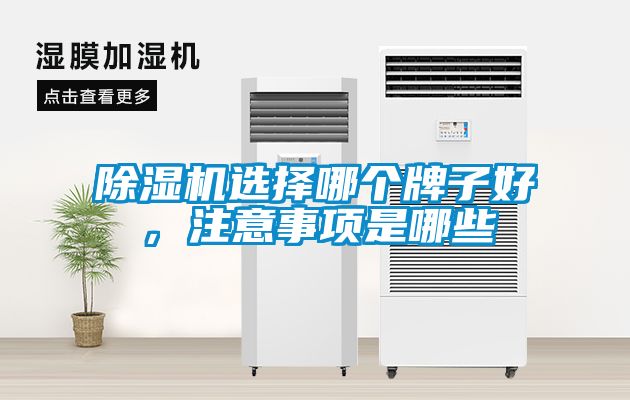 除濕機(jī)選擇哪個(gè)牌子好，注意事項(xiàng)是哪些