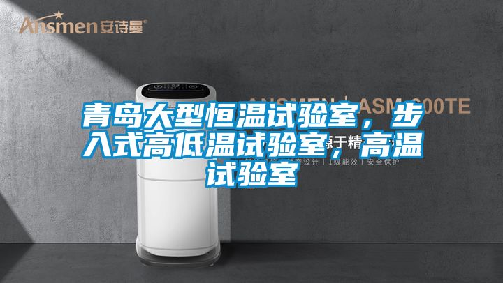 青島大型恒溫試驗室，步入式高低溫試驗室，高溫試驗室