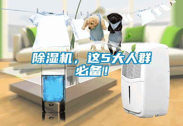 除濕機(jī)，這5大人群必備！