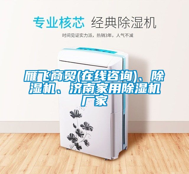 雁飛商貿(mào)(在線咨詢)、除濕機、濟南家用除濕機廠家