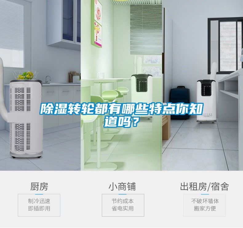 除濕轉(zhuǎn)輪都有哪些特點你知道嗎？