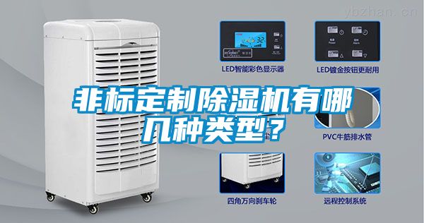 非標(biāo)定制除濕機(jī)有哪幾種類(lèi)型？