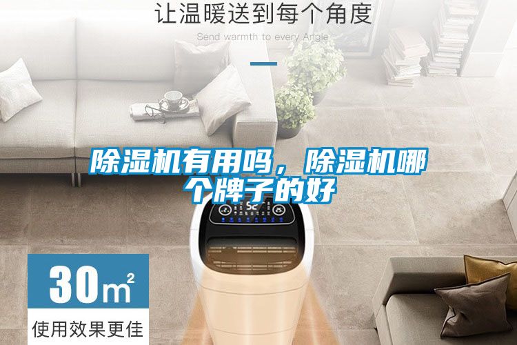 除濕機有用嗎，除濕機哪個牌子的好