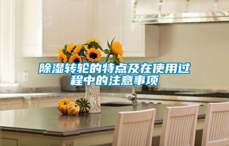 除濕轉(zhuǎn)輪的特點(diǎn)及在使用過程中的注意事項