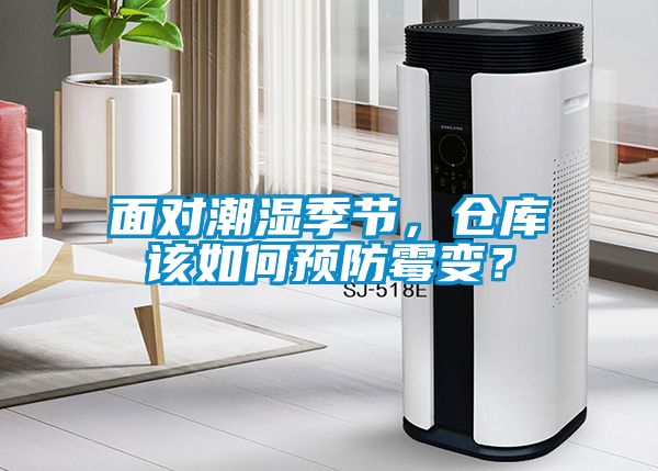 面對潮濕季節(jié)，倉庫該如何預(yù)防霉變？