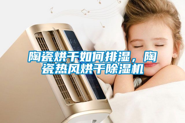 陶瓷烘干如何排濕，陶瓷熱風(fēng)烘干除濕機