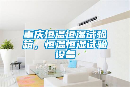重慶恒溫恒濕試驗(yàn)箱，恒溫恒濕試驗(yàn)設(shè)備