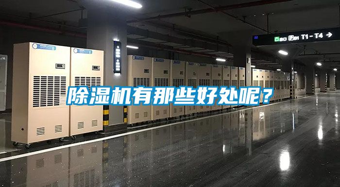 除濕機有那些好處呢？