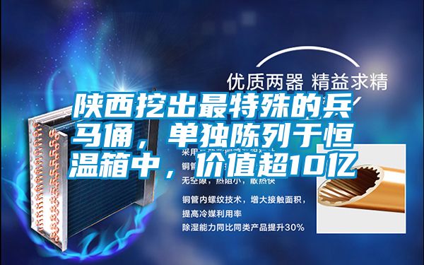 陜西挖出最特殊的兵馬俑，單獨(dú)陳列于恒溫箱中，價(jià)值超10億