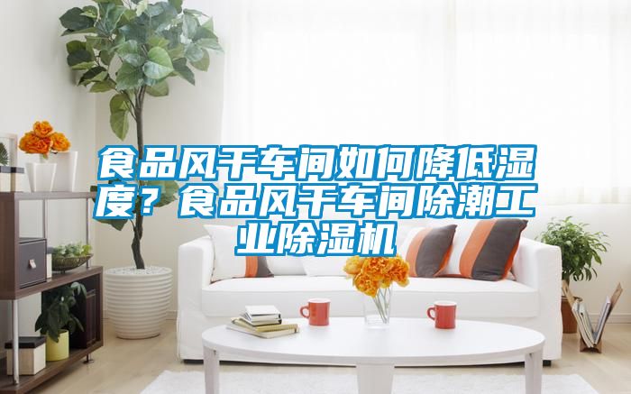 食品風(fēng)干車間如何降低濕度？食品風(fēng)干車間除潮工業(yè)除濕機