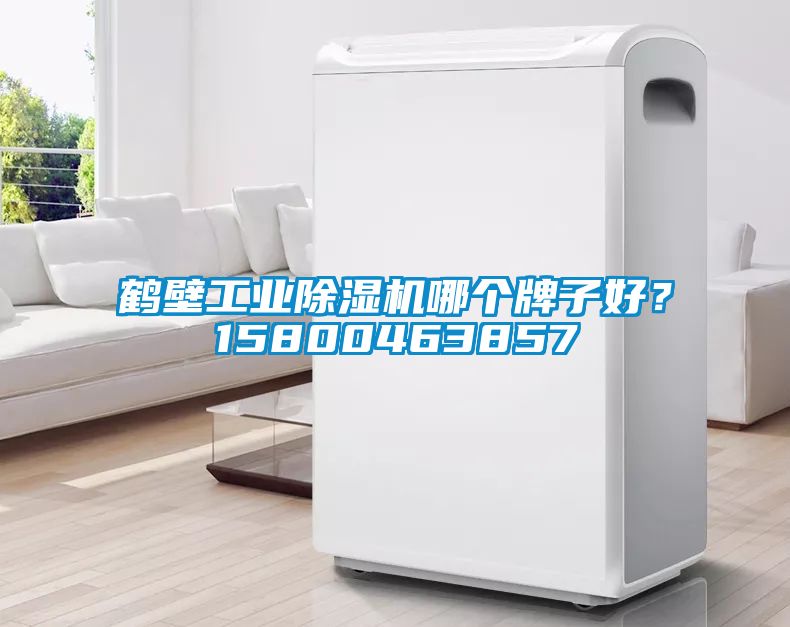 鶴壁工業(yè)除濕機(jī)哪個(gè)牌子好？15800463857