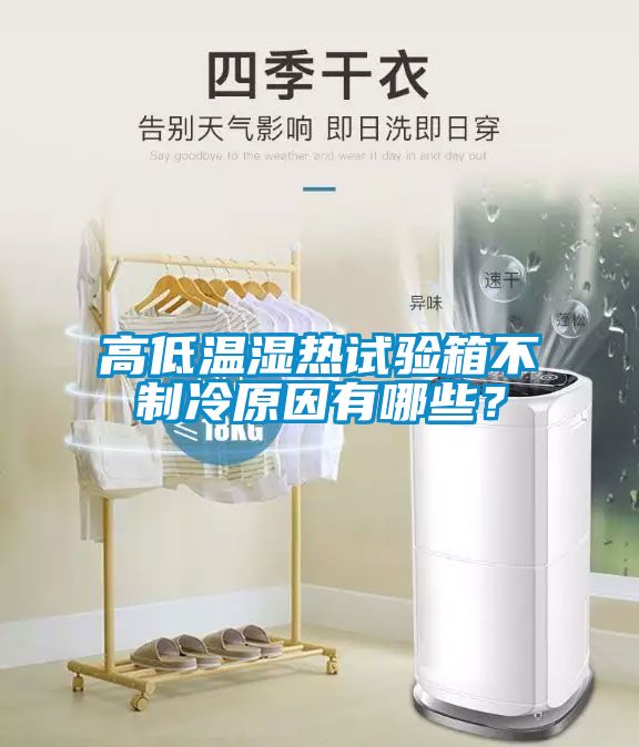 高低溫濕熱試驗箱不制冷原因有哪些？