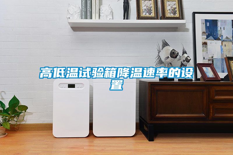 高低溫試驗箱降溫速率的設(shè)置