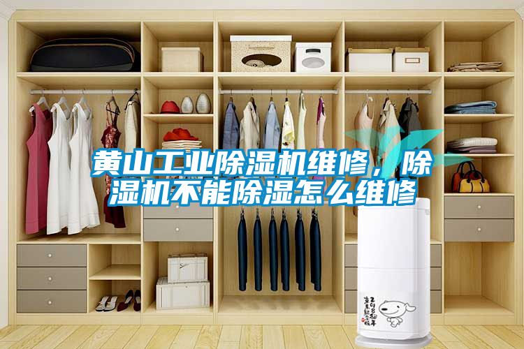 黃山工業(yè)除濕機維修，除濕機不能除濕怎么維修