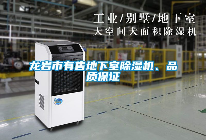 龍巖市有售地下室除濕機(jī)、品質(zhì)保證