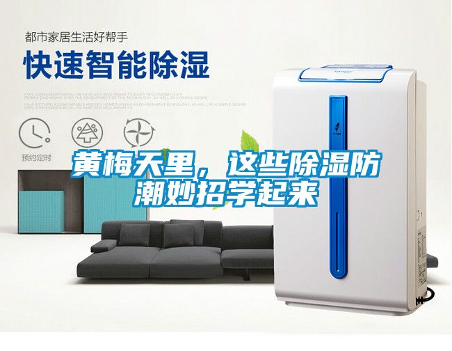 黃梅天里，這些除濕防潮妙招學(xué)起來(lái)