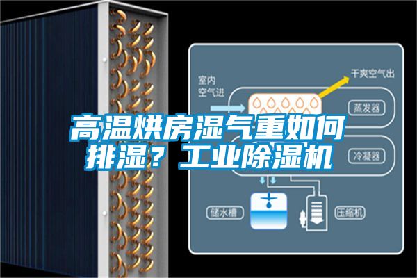 高溫烘房濕氣重如何排濕？工業(yè)除濕機