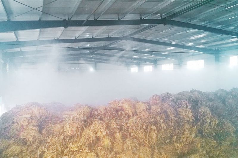 提升煙葉加工質(zhì)量，高效回潮很重要 煙葉除濕機(jī)