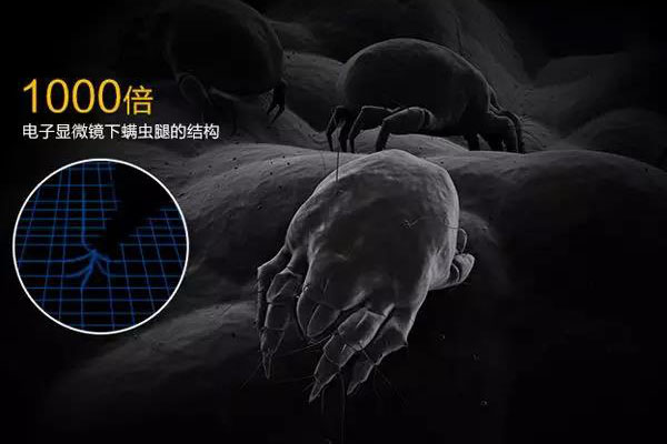 螨蟲(chóng)高發(fā)季，家用除濕機(jī)除螨有妙計(jì)！