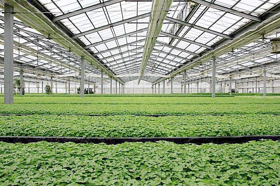 除濕器如何解決高濕度、多種危害的溫室除濕問(wèn)題？